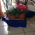 Il Castello Sul Apartamento *
