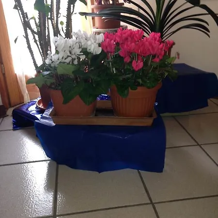 Il Castello Sul Apartmán *