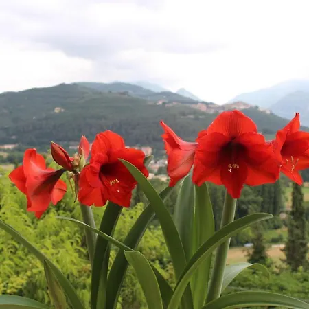Il Castello Sul شقة *