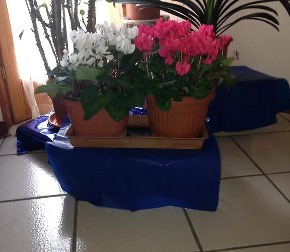 Il Castello Sul Apartamento *